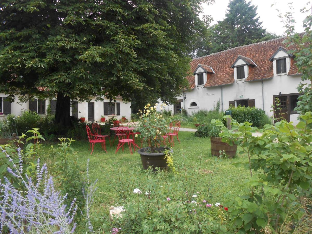 B&B La Ferme Des Bordes Pontlevoy Екстериор снимка