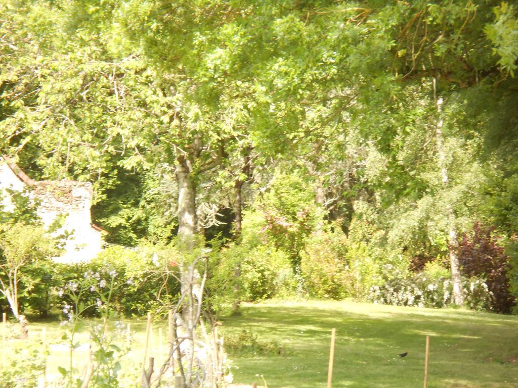 B&B La Ferme Des Bordes Pontlevoy Екстериор снимка
