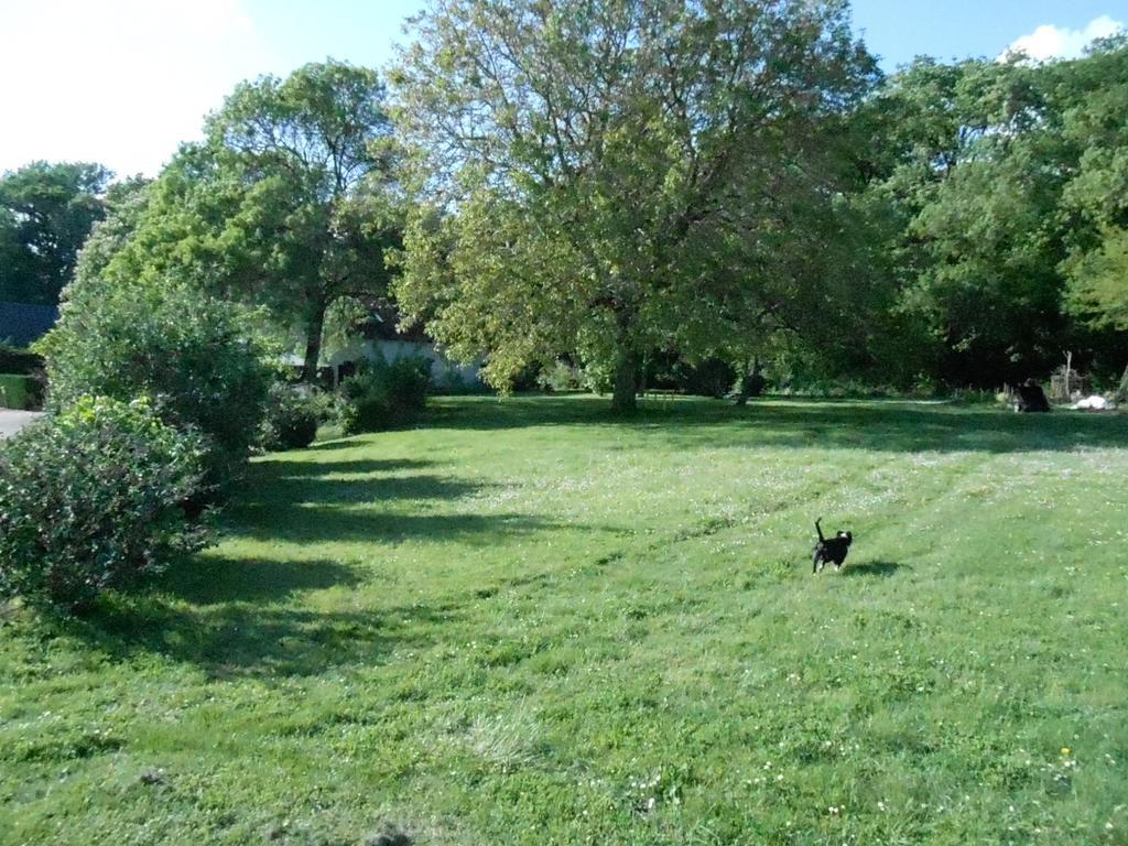 B&B La Ferme Des Bordes Pontlevoy Екстериор снимка
